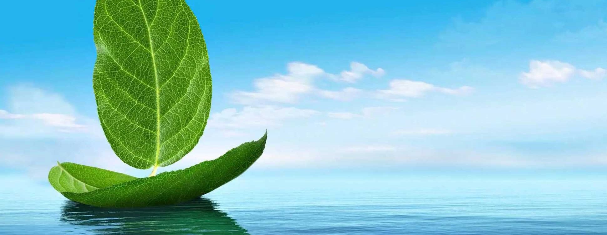 Anke Geppert: Konzept